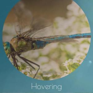 ดาวน์โหลดและฟังเพลง Hovering พร้อมเนื้อเพลงจาก Hyra Weer