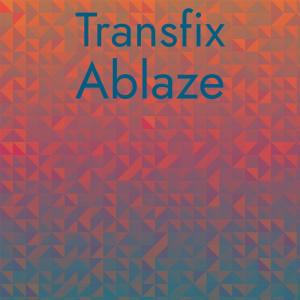 Album Transfix Ablaze oleh Various