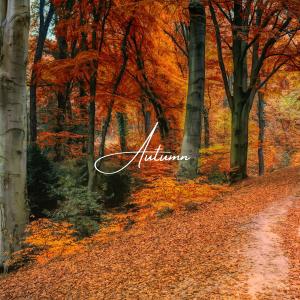 Austin Farwell的專輯Autumn