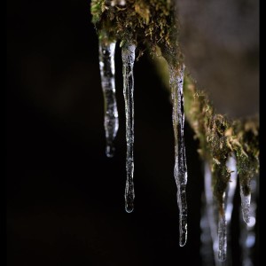 Listen to Deep Sleep song with lyrics from Deep Sleep