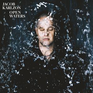 收聽Jacob Karlzon的Look What You Made Me Do歌詞歌曲