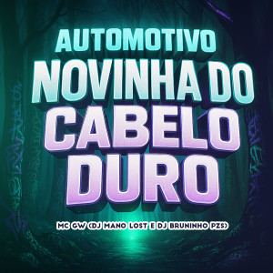 Dj Bruninho Pzs的專輯Automotivo Novinha do Cabelo Duro (Explicit)