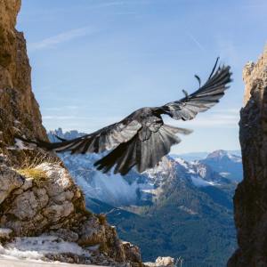 Listen to Mind Cleansing song with lyrics from Zen Music Garden