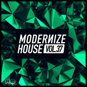 Modernize House, Vol. 37 dari Various Artists