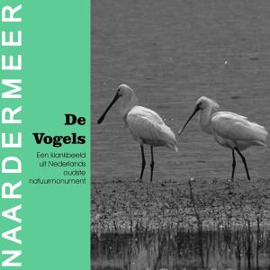 ดาวน์โหลดและฟังเพลง Snor พร้อมเนื้อเพลงจาก De Vogels
