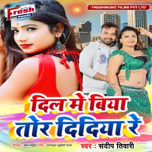 收聽Sandeep Tiwari的Dil Me Biya Tor Didiya Re歌詞歌曲