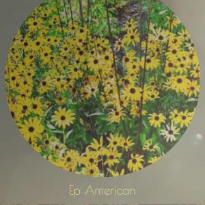 Various的专辑Ep American