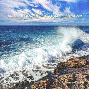 The Sound Of Waves In The Late Summer ASMR dari 네이쳐콜링