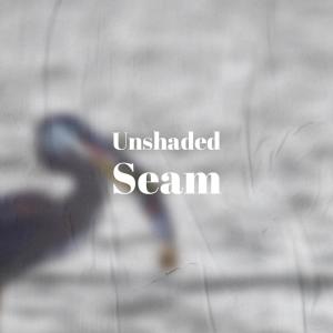 Listen to Waning Immediately song with lyrics from Claudis Fian