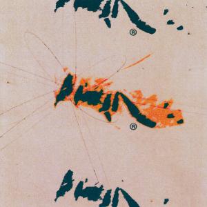 Ballpoint的專輯Vol 1: Skins