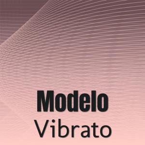 Various Artists的專輯Modelo Vibrato