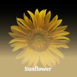 Listen to Sunflower song with lyrics from Sinatra, Frank