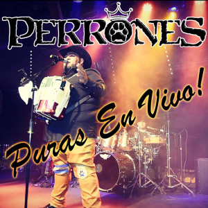 Listen to Negro Y Azul song with lyrics from Perrones