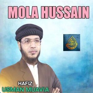 Album Mola Hussain from Hafiz Usman Muavia