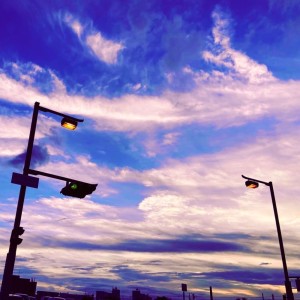 Album Mayfly (feat. Rei Harue) from 