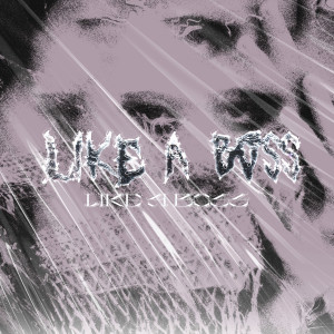 Listen to Like a Boss song with lyrics from NextRO