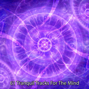 Album 61 Tranquil Tracks For The Mind from 