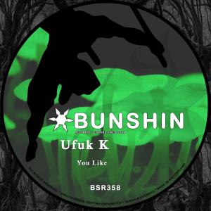 收聽Ufuk K的You Like歌詞歌曲
