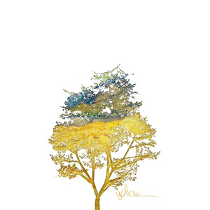 收聽The Homecoming的Yellow歌詞歌曲