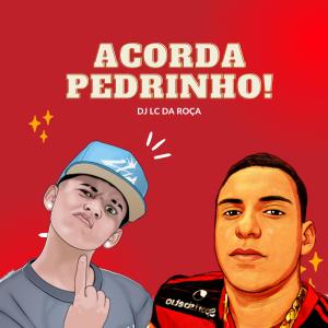 收聽Dj Lc da Roça的Acorda pedrinho X Abre a Geladeira歌詞歌曲