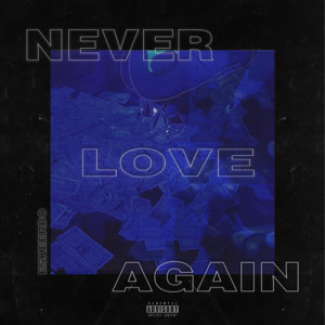 Eskeerdo的專輯Never Love Again