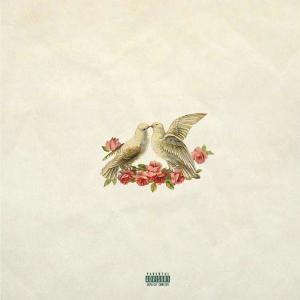 Listen to Vows (feat. Mü) song with lyrics from NicX