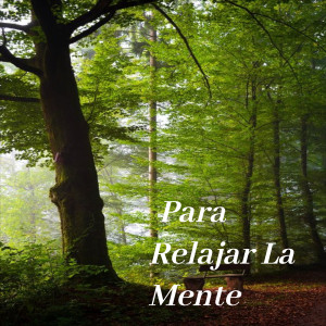 Listen to Calma song with lyrics from Dayton
