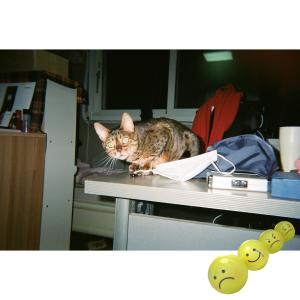 Listen to 주륵 (Jooruk) (feat. Claire Hau) song with lyrics from 콸라