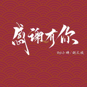 Listen to 感谢有你 song with lyrics from DJ小辞
