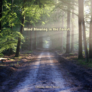 收聽J.Roomy的Wind Blowing in the Forest (ASMR, Nature Sound)歌詞歌曲