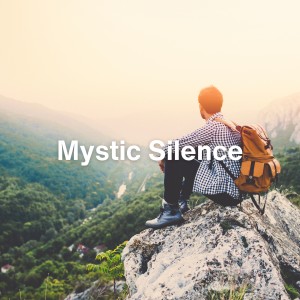 อัลบัม Mystic Silence ศิลปิน Healing Sounds for Deep Sleep and Relaxation