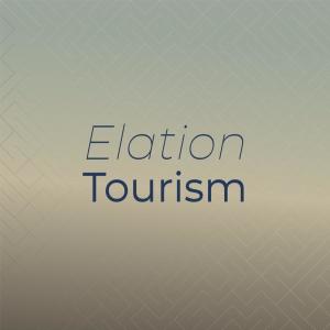 Various的专辑Elation Tourism