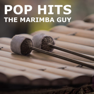 Album Pop Hits from Marimba Guy