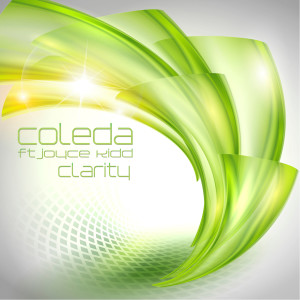 ดาวน์โหลดและฟังเพลง Clarity (feat. Joyce Kidd) (Acapella Vocal Mix) พร้อมเนื้อเพลงจาก Joyce Kidd