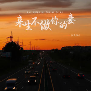 安兒陳的專輯來生不做你的妻