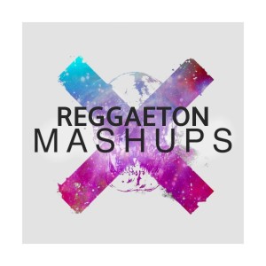 Dengarkan lagu Reggeaton Mashup nyanyian Mashups dengan lirik