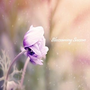 Listen to Blossoming Season song with lyrics from Angie Hawke