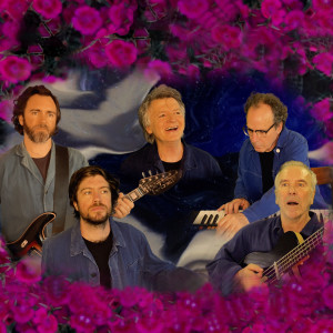 ดาวน์โหลดและฟังเพลง Whatever You Want (Live From Home) พร้อมเนื้อเพลงจาก Crowded House