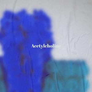 收听Haruno Fade的Acetylcholine歌词歌曲