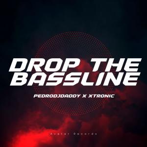 Drop The Bassline (feat. Xtronic)