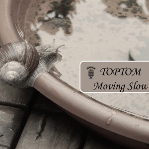 Album Moving Slow from TopTom