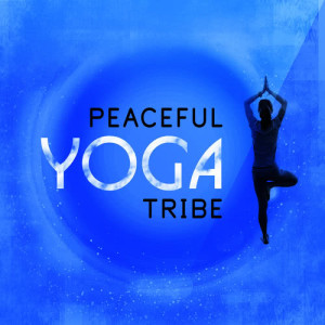 ดาวน์โหลดและฟังเพลง Power of Concentration พร้อมเนื้อเพลงจาก Yoga Tribe