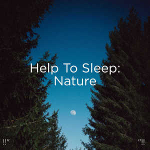 Listen to River Asmr song with lyrics from Nature Sounds