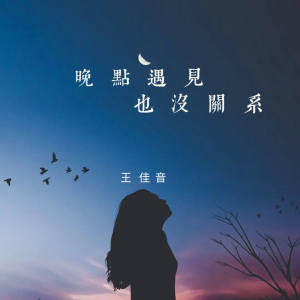 王佳音的專輯晚點遇見也沒關係