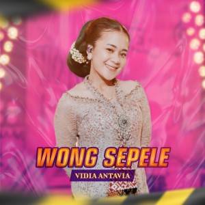 Dengarkan Wong Sepele lagu dari Vidia Antavia dengan lirik