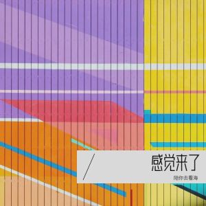 Album 感觉来了 from 戴立志