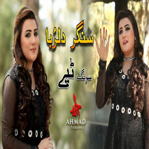 Listen to Tappy song with lyrics from Dilruba