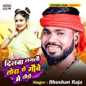 Listen to Dilba Laglau Tora Se Gaume Me Chhaudi song with lyrics from Bhushan Raja