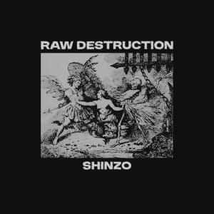 อัลบัม RAW DESTRUCTION (Explicit) ศิลปิน Shinzo