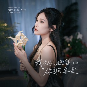 Listen to 我次次挽留你句句要走 (DJ九零版) song with lyrics from 王晴